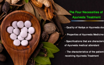 Ayurveda Treatment Guidelines